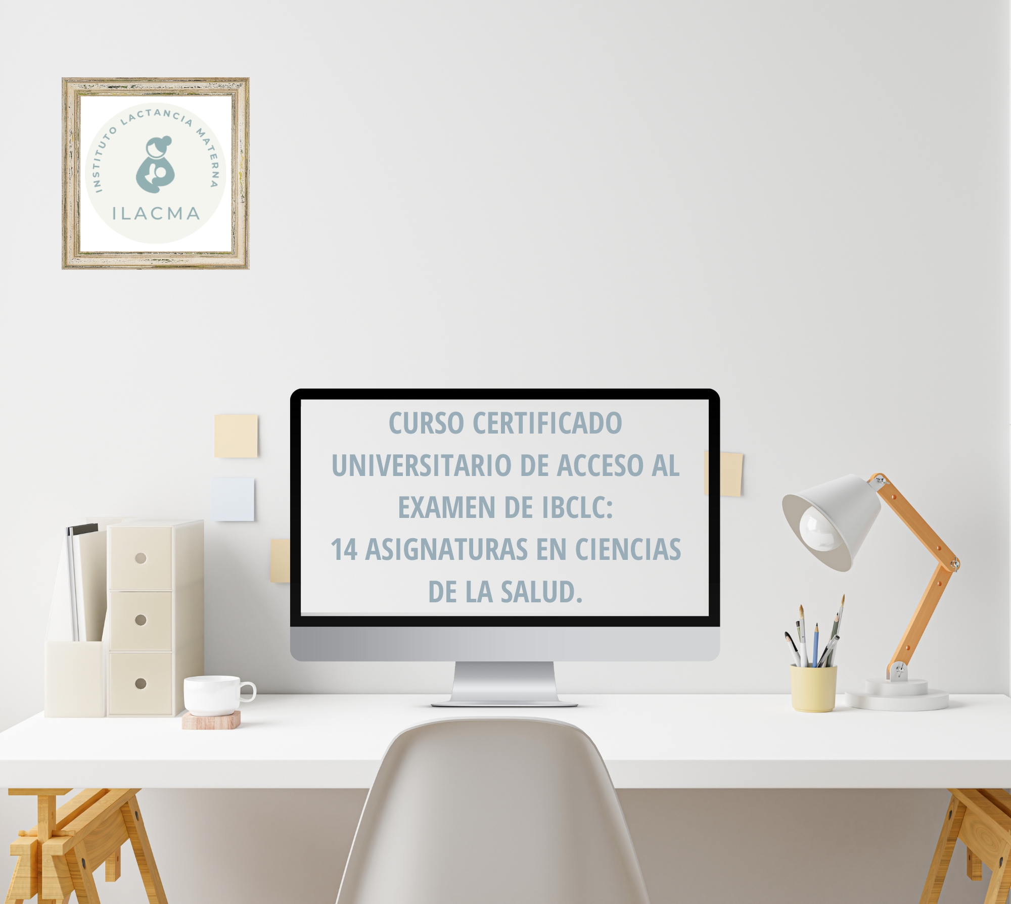 curso_asesora_lactancia_materna